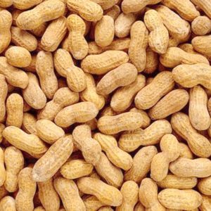 cacahuètes coques l'apéritif provençal